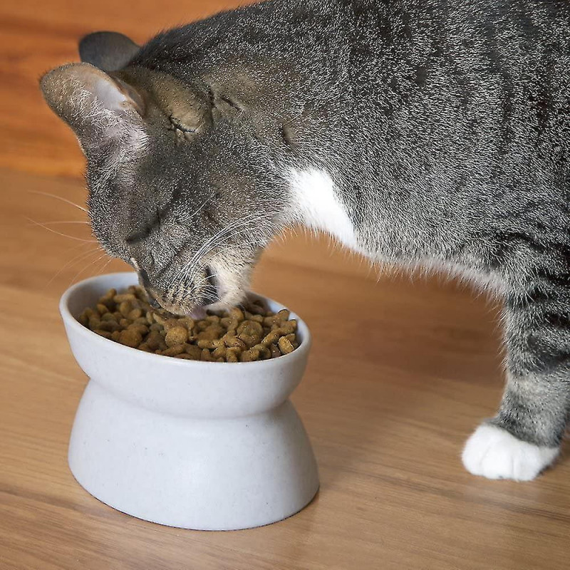 Raised Cat Food Bowl Collection_stress Free Pet Feeder And Waterer- Yj51-2