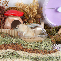 Heytea Hamster Sand Bath Container Grande toilette en plastique transparent avec scoop Set pour petits animaux de [...]