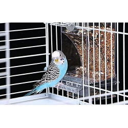 Mangeoire à oiseaux automatique, mangeoire à oiseaux sans gâchis, mangeoire à cage à oiseaux Accessoires de cage à [...]