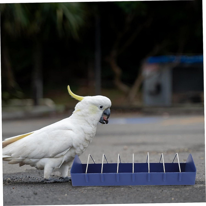 2pcs Pigeon Trough Food Containers Grand Container Containers pour Food Bird Feeder Plastic Feeding Tray Parrots [...]