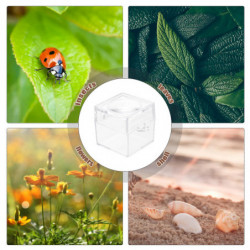 10 Pcs Clear Container Kid Toys Small Cages Magnifier Container Household Magnifying Jar Viewer 10 Pcs Clear Container Kid Toys Small Cages Magnifier Container Household Magnifying Jar Viewer