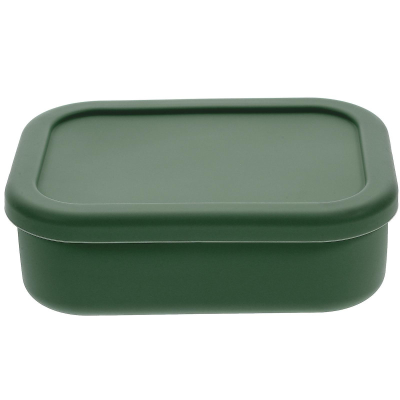 Portable Food Container Fresh Keeping Sealed Box Rectangular Storage Box Practical Storage Box(720ml) Green