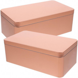 2Pcs Small Tins Tea Leaf Tin Storage Box Empty Tinplate Candy Storage Box with Lid 2Pcs Small Tins Tea Leaf Tin Storage Box Empty Tinplate Candy Storage Box with Lid