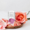 6 Pcs Travel Container Refillable Powder Bottle Makeup Loose Powder Box Small Powder Container 6 Pcs Travel Container Refillable Powder Bottle Makeup Loose Powder Box Small Powder Container