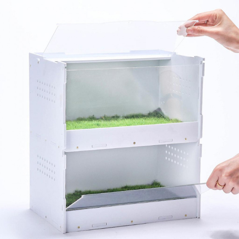 Transparent Acrylic Container Double-layer Feeding Box For Spiders Scorpions