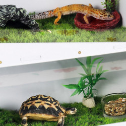 Transparent Acrylic Container Double-layer Feeding Box For Spiders Scorpions Transparent Acrylic Container Double-layer Feeding Box For Spiders Scorpions