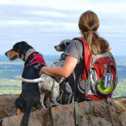 Porte-sac à crottes pour chiens, porte-sac à ordures pour animaux de compagnie Porte-bagages En laisse