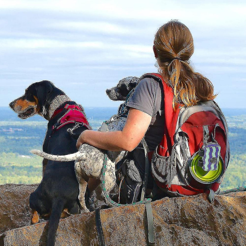Porte-sac à crottes pour chiens, porte-sac à ordures pour animaux de compagnie Porte-bagages En laisse