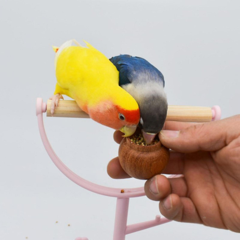 Dressage d’oiseaux Mangeoire à main Pot de nourriture Porte-nourriture en bois naturel Aliments pour oiseaux