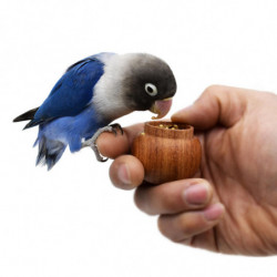 Dressage d’oiseaux Mangeoire à main Pot de nourriture Porte-nourriture en bois naturel Aliments pour oiseaux Dressage d’oiseaux Mangeoire à main Pot de nourriture Porte-nourriture en bois naturel Aliments pour oiseaux