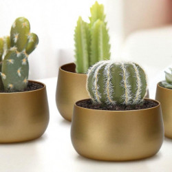 24 Candle Tin Cans Candle Container With Lid Suitable For Candle Making Arts And Handicrafts Storage 24 Candle Tin Cans Candle Container With Lid Suitable For Candle Making Arts And Handicrafts Storage