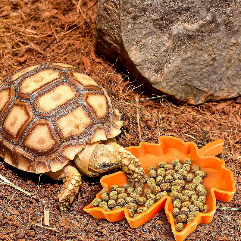 Reptile Plastic Bowl Small Water Plate Reptile Food Bowl Lizard Gecko (1pcs)