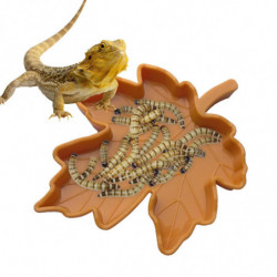 Reptile Plastic Bowl Small Water Plate Reptile Food Bowl Lizard Gecko (1pcs) Reptile Plastic Bowl Small Water Plate Reptile Food Bowl Lizard Gecko (1pcs)