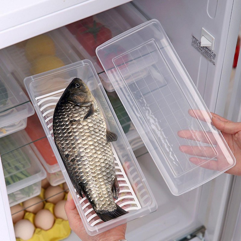 Storage Case Durable Easy to Clean Portable Kitchen Transparent Fresh-keeping Fish Box for Home