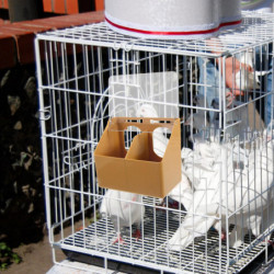 Cage Pigeon Alimentation Conteneur Mangeoire À Oiseaux Perroquet Nourriture Bol D’eau Pigeon Cage Outil D’alimentation Cage Pigeon Alimentation Conteneur Mangeoire À Oiseaux Perroquet Nourriture Bol D’eau Pigeon Cage Outil D’alimentation