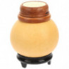 Multi-functional Storage Jar Natural Wooden Jar Cricket Container Collection Jar