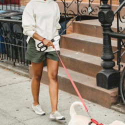 4Pcs Pet Poop Pickup Clip Hedgehog Hamster Waste Picker Pet Cleaning Tool