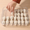 Household Timing Dumpling Box Large Capacity Food Fresh-keeping Box For Kitchen