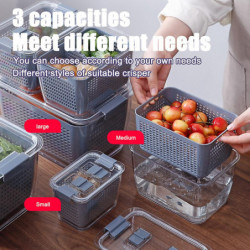 Refrigerator Food For Fresh Keeping Containers Durable Large Capacity Organizer