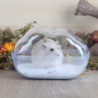 Ubiuo Hamster Sand Bath Container Large Transparent Plastic Toilet With Scoop Set For Small Pet Animals Cage Accessories