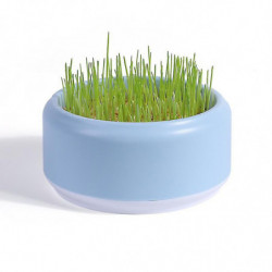 Cat Snack Planting Hydroponic Container Cat Grass Planting Bowl Without Soil