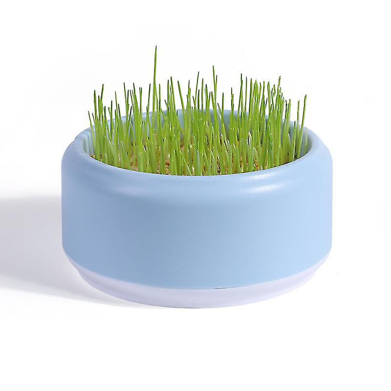 Cat Snack Planting Hydroponic Container Cat Grass Planting Bowl Without Soil