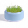 Cat Snack Planting Hydroponic Container Cat Grass Planting Bowl Without Soil