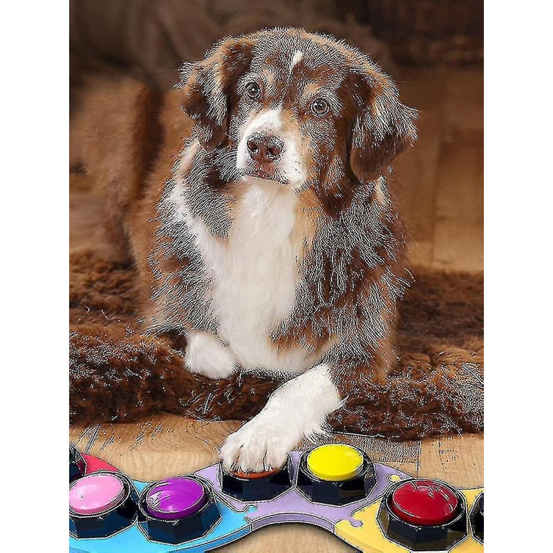 Talking Pet Starter Enregistrable Speaking Button Dog Training Communication Toy New Hot TA