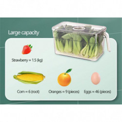 Refrigerator Storage Box, Fresh-keeping Box, Food-grade Fresh-keeping, Vegetables, Classified Eggs, Storage Box, [...]