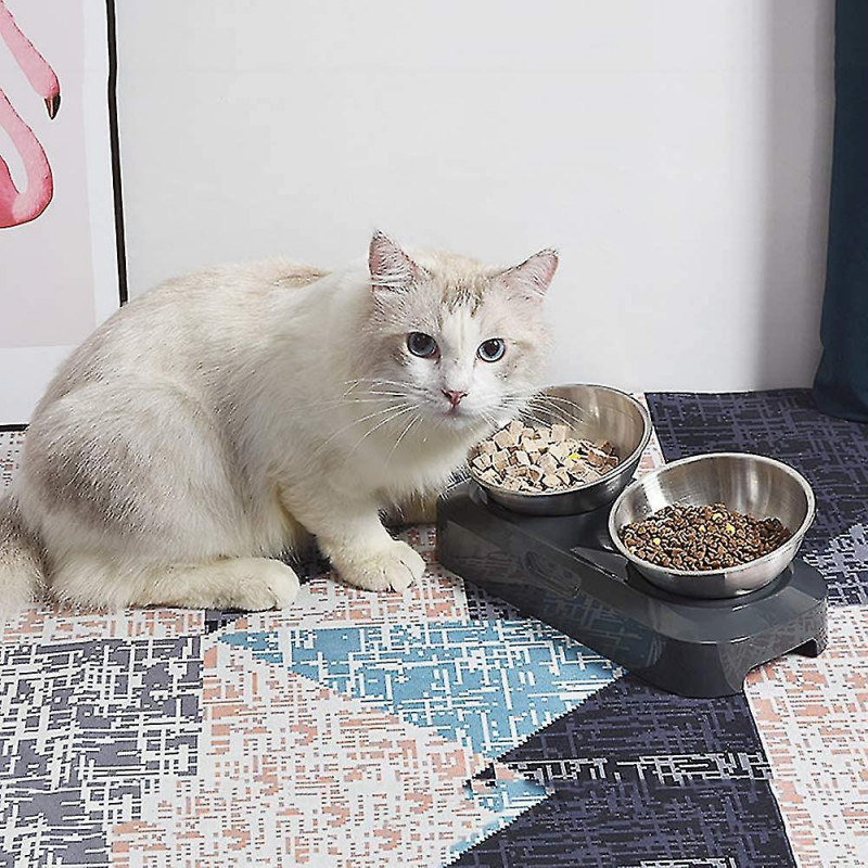 Bol pour chat surélevé, plat pour chat en acier inoxydable pour l’eau alimentaire Anti vomissements surélevé [...]