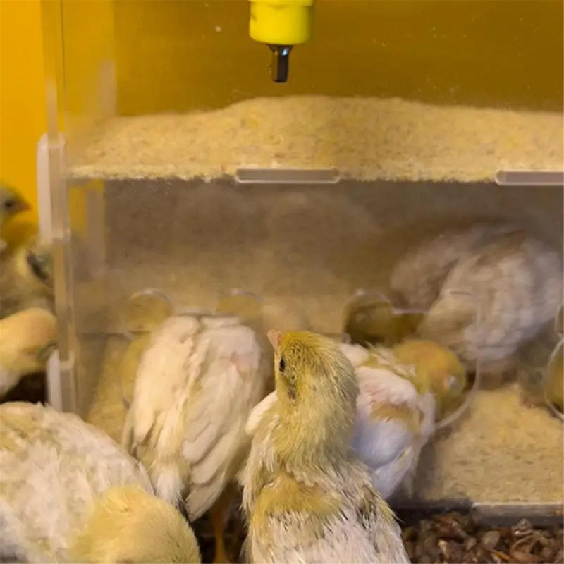 Parrot Feeder Box Acrylic Feeding Container No-Mess Multihole Food Box Clear Bird Food Dispenser Box for Finches Parrots