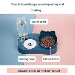 Cute Food Bowl And Water Bowl Set For Cats.tilted Raised Cat Food Bowl