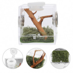 2 Set of Spider Habitat Box Small Pet Insect Breeding Box Jumping Spider Micro Box 2 Set of Spider Habitat Box Small Pet Insect Breeding Box Jumping Spider Micro Box