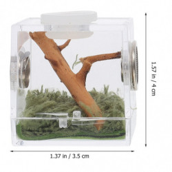 2 Set of Spider Habitat Box Small Pet Insect Breeding Box Jumping Spider Micro Box 2 Set of Spider Habitat Box Small Pet Insect Breeding Box Jumping Spider Micro Box