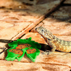 Reptile Plastic Bowl Small Water Plate Reptile Food Bowl Lizard Gecko (1pcs)