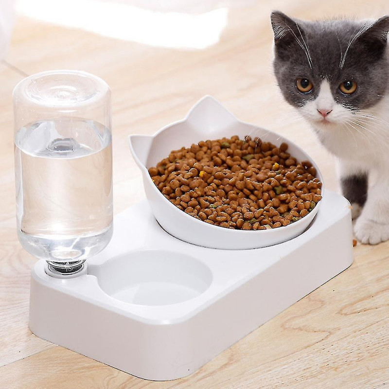 Oreilles de chat 15 Garde de cou incliné Cat Water Bowl Cat Food Bowl Dog Bowl Pet Automatic Waterer