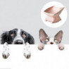 Cat Bowl Dog Bowl Oblique Mouth Bowl High Foot Bowl Flat Face Cat Bowl To Protect The Spine