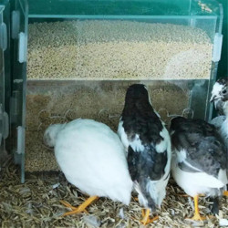 Parrot Feeder Box Acrylic Feeding Container No-Mess Multihole Food Box Clear Bird Food Dispenser Box for Finches Parrots