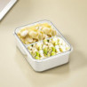 TY-90022 Airtight Food Storage Box with Timer PET+PP Spices Container, Size S (BPA-Free, No FDA)
