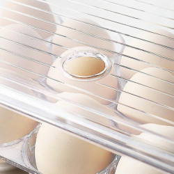 Egg Rack Storage Box Can Hold 16 Mesh Eggs, With Handle And Lid