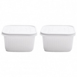 Green Onion Storage Box Kitchen Ginger Garlic Storage Box & Airtight Box White