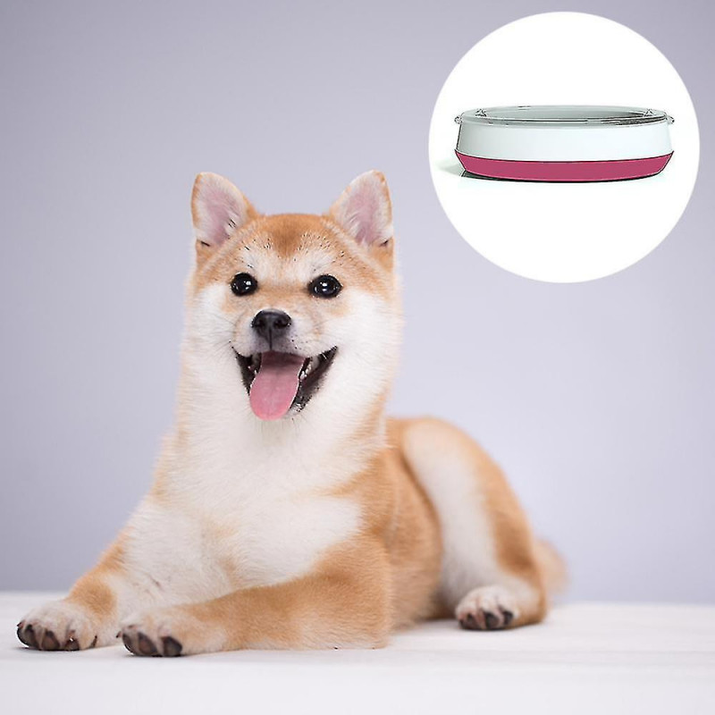 Pet Glass Bowl Dog Cat Drinking Water Feeding Bowl Food Bowl Drinking Water Bowl High Quality