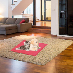 1pcs Dog Food Mat