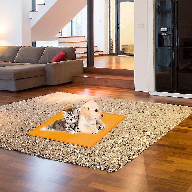 1pcs Feeding Bowl Placemat 1pcs Feeding Bowl Placemat