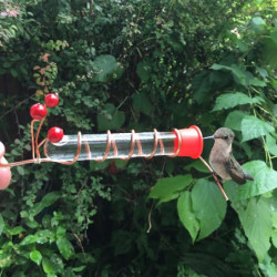 Hat Hummingbird Feeder Handheld Red Berry Bird Feeder Ultralight Simple Installation Hands-free Bird Food Container Hat Hummingbird Feeder Handheld Red Berry Bird Feeder Ultralight Simple Installation Hands-free Bird Food Container