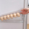 Food Grade Container With Lid Durable Large Capacity Egg Storage Box For Kitchen