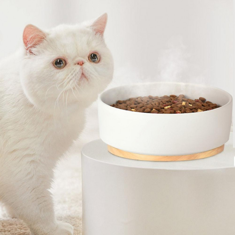 Pet Heating Bowls Intelligent Thermostatic Ceramic Puppies Pet Dog Cats Food Water Insulation Bowls Food Container Cage