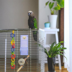 Parrot Feeder Bird Food Bowl Parrot Food Container Simple Structure Feeding Bowl the Birds Supplies Bird Feeder B Parrot Feeder Bird Food Bowl Parrot Food Container Simple Structure Feeding Bowl the Birds Supplies Bird Feeder B