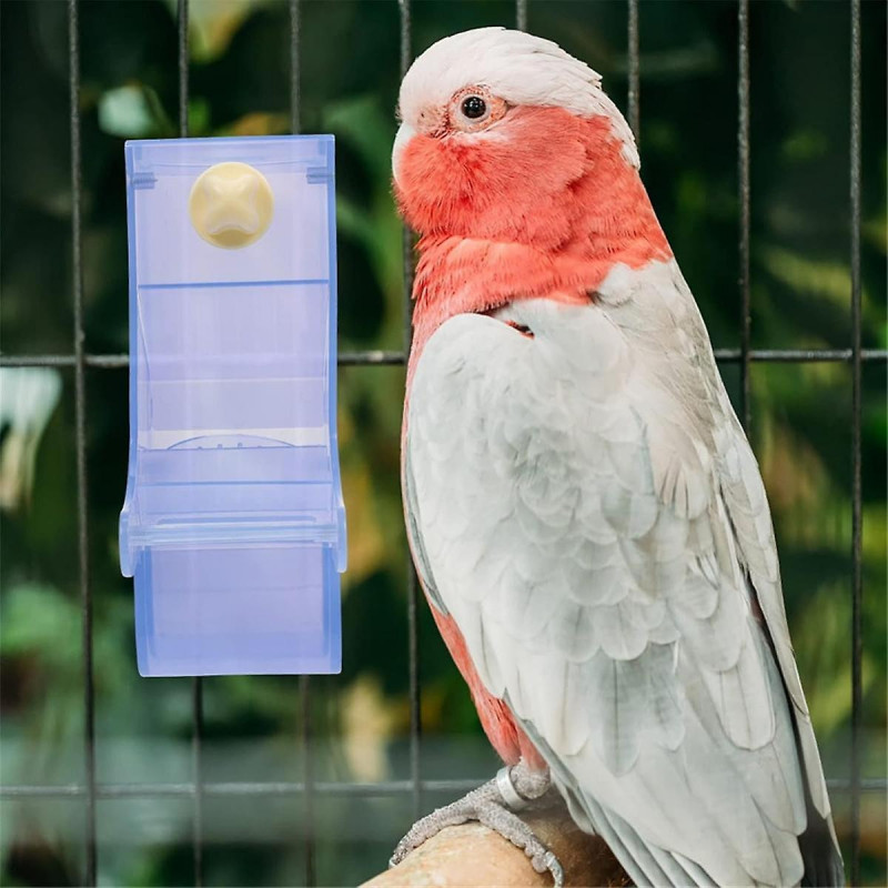 Parrot Feeder Bird Food Bowl Parrot Food Container Simple Structure Feeding Bowl the Birds Supplies Bird Feeder B