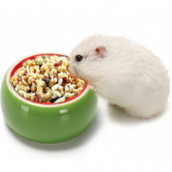 Hamster Bowls Hamster Bowl Ceramic Prevent Chewing Hamster Feeding Bowl 2 Pack Hamster Bowls Hamster Bowl Ceramic Prevent Chewing Hamster Feeding Bowl 2 Pack